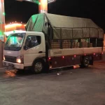 محمد عبدالله