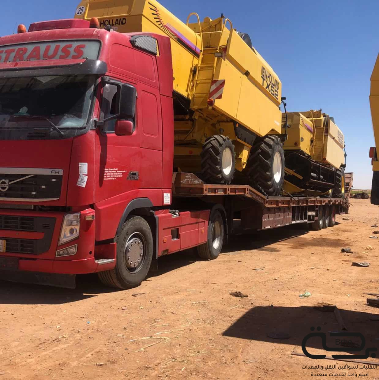 برحة سطحات و لوابد