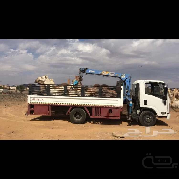 برحة نقل و توصيل