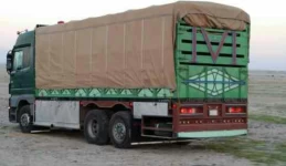 ابو مشاري القحطاني