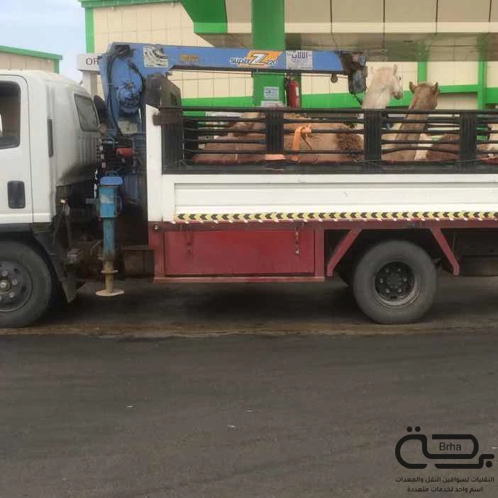 برحة النقل و التوصيل