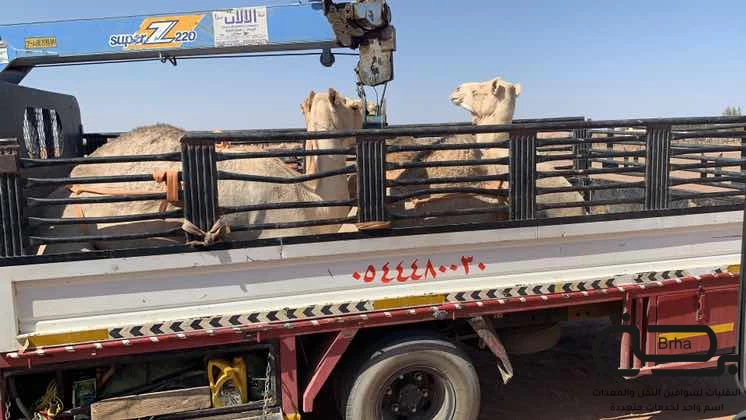 برحة النقل و التوصيل