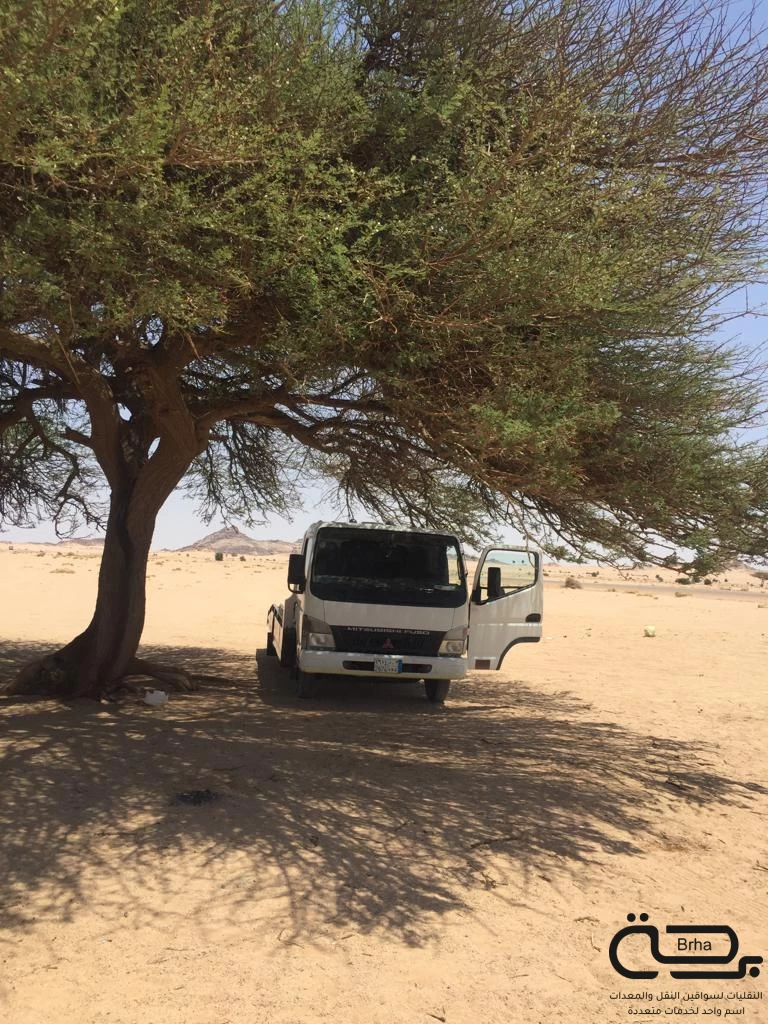 برحة سطحات و لوابد