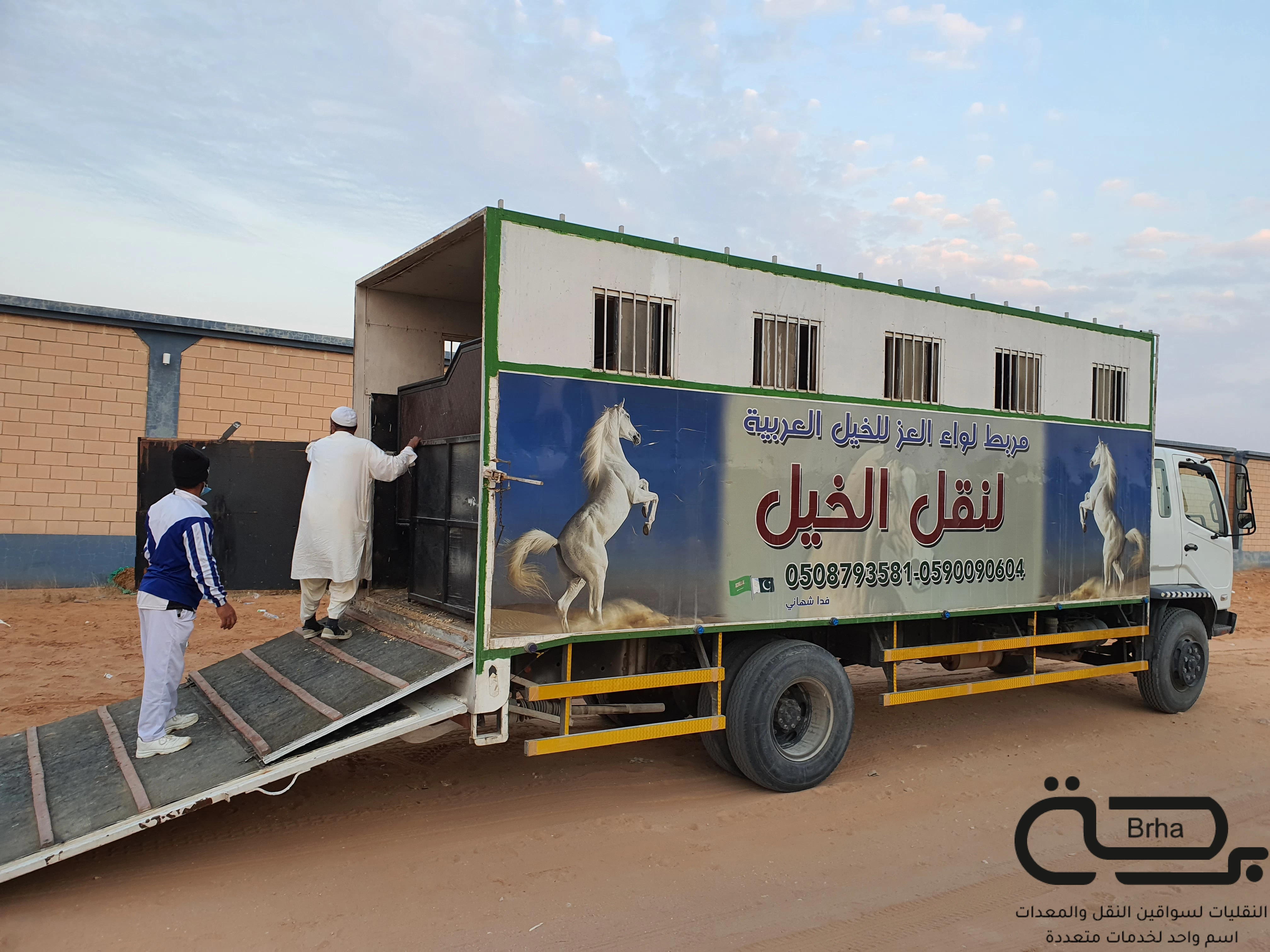 برحة النقل والخيل