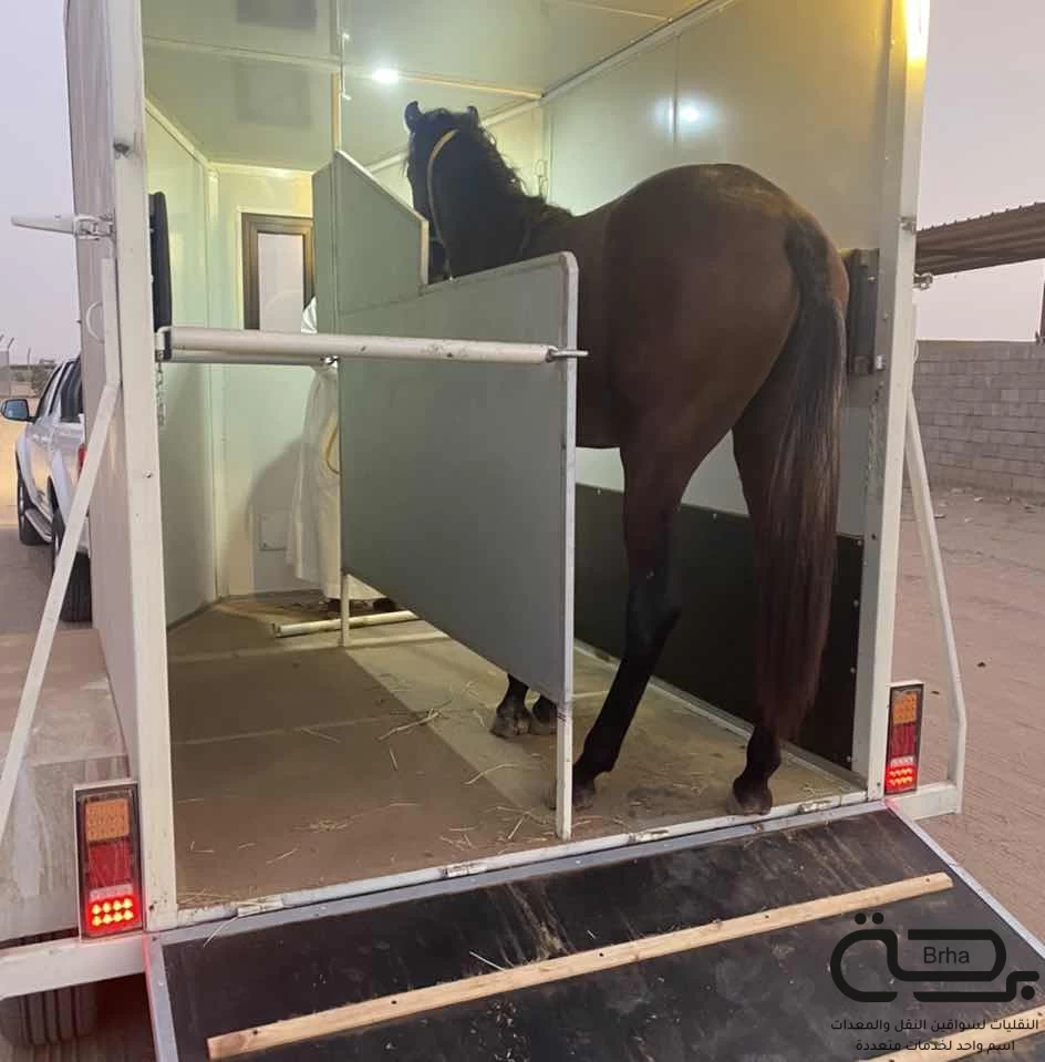 برحة النقل والخيل