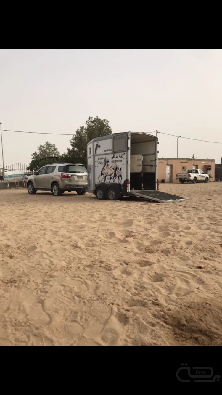 برحة النقل والخيل