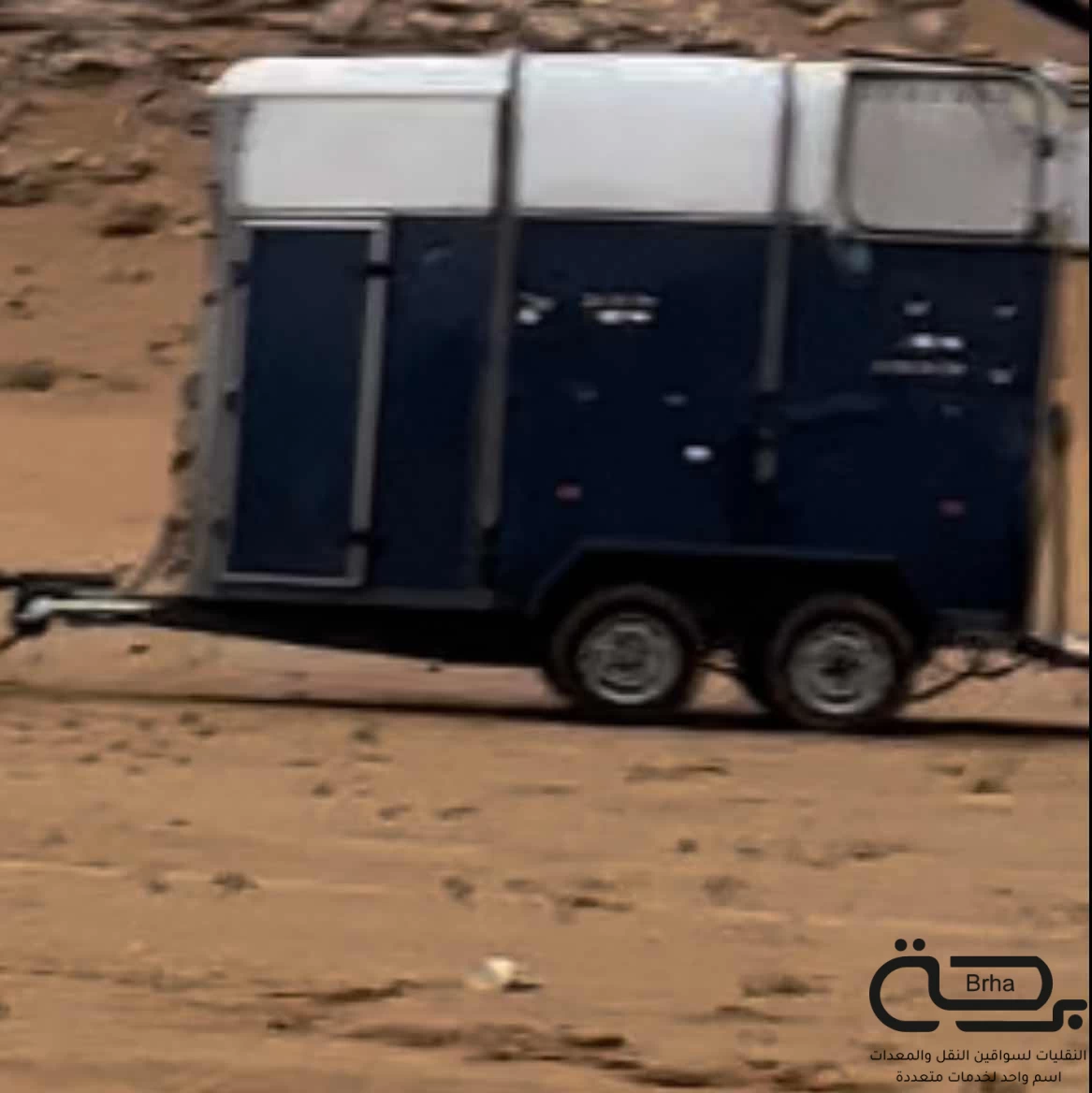 برحة نقل خيل
