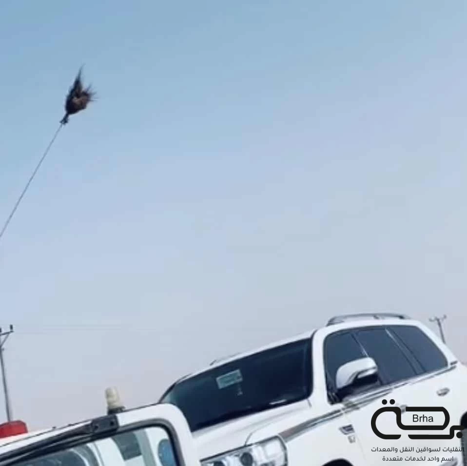 برحة سطحات و لوابد