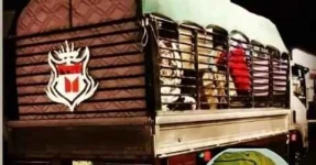 نجار فك وتركيب