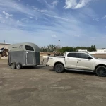 حسين بن مسفر