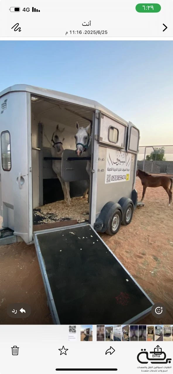 برحة نقل الخيل