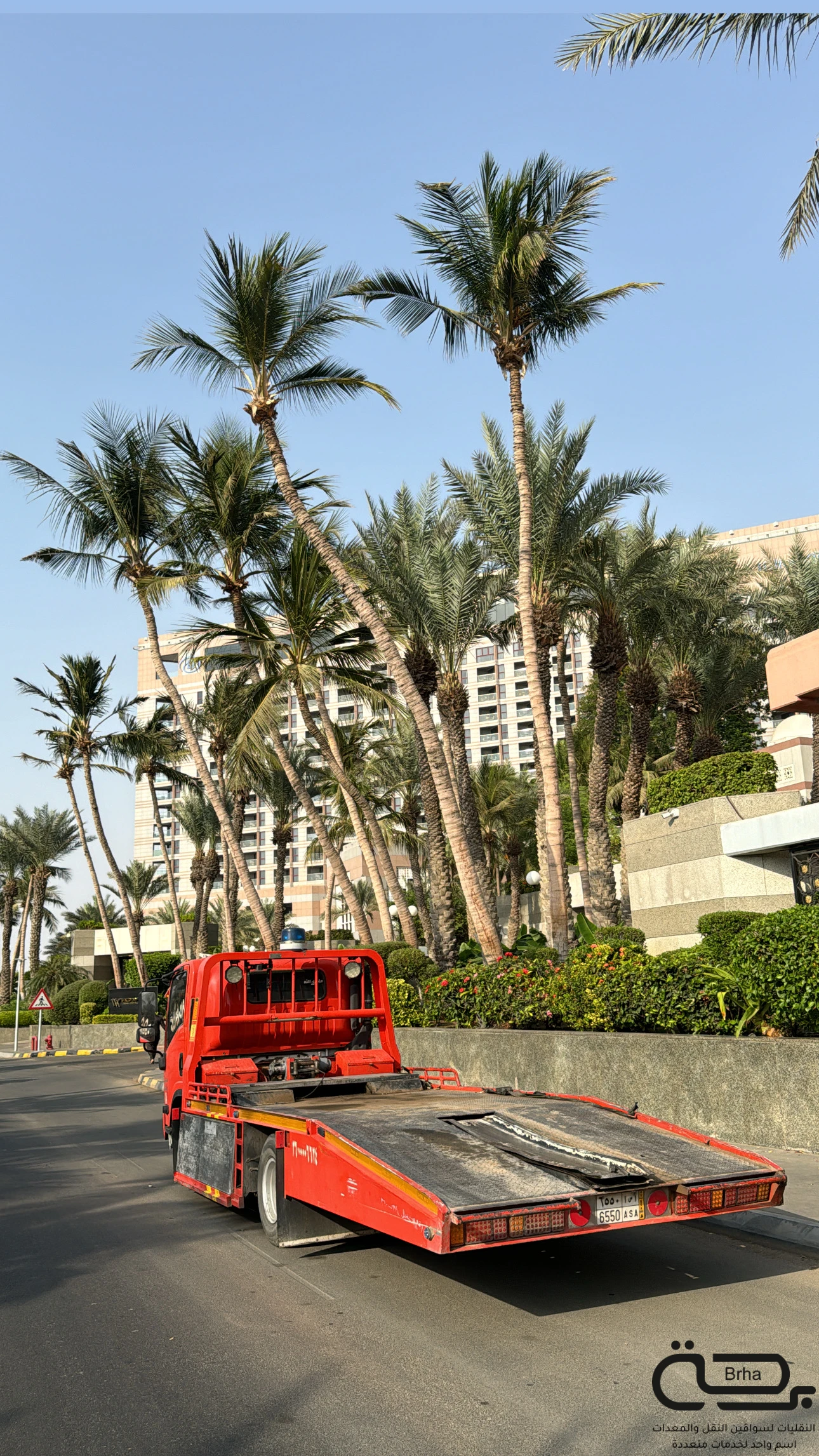 برحة سطحات و لوابد